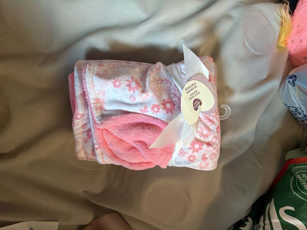 Parent's Choice Pink Floral Plush Baby Blanket 30 in x 40 in